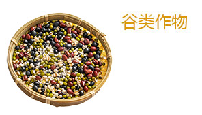 水稻补硒的叶面肥（水稻补叶硒面肥效果好吗）-硒宝网