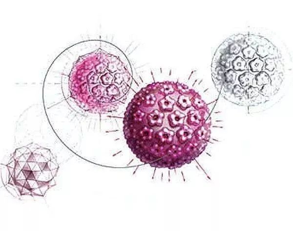 补硒预防宫颈癌吗(补硒对宫颈癌前病变有好处吗)-硒宝网