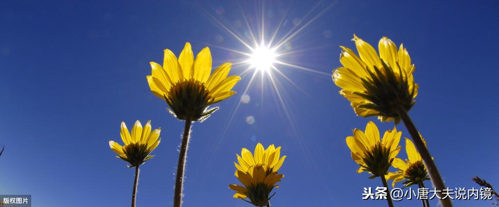 食道癌补硒能好吗（癌症患者可以吃硒吗）-硒宝网