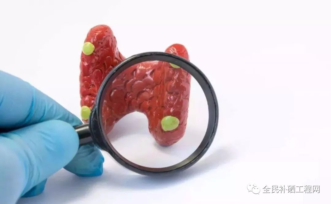 亚甲减需要补硒吗（亚临床甲减补硒）-硒宝网