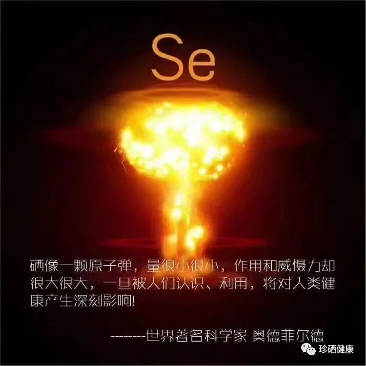 补硒预防宫颈癌吗（硒治疗宫颈癌）-硒宝网