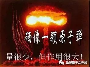 三大全民补硒工程(全民补硒工程发起人是谁)-硒宝网