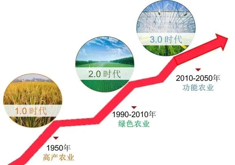 农作物补硒的原料(农作物含硒多少比较好)-硒宝网