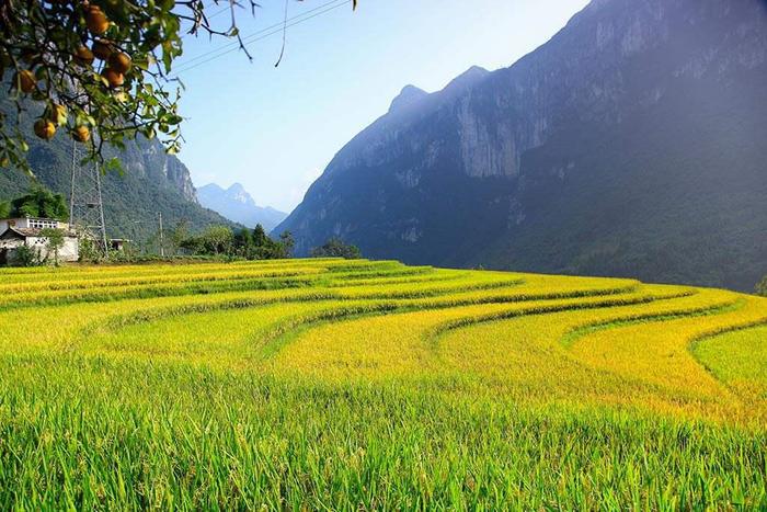 心肌病补硒的好处(讲讲中医治疗心肌硒的药物)-硒宝网