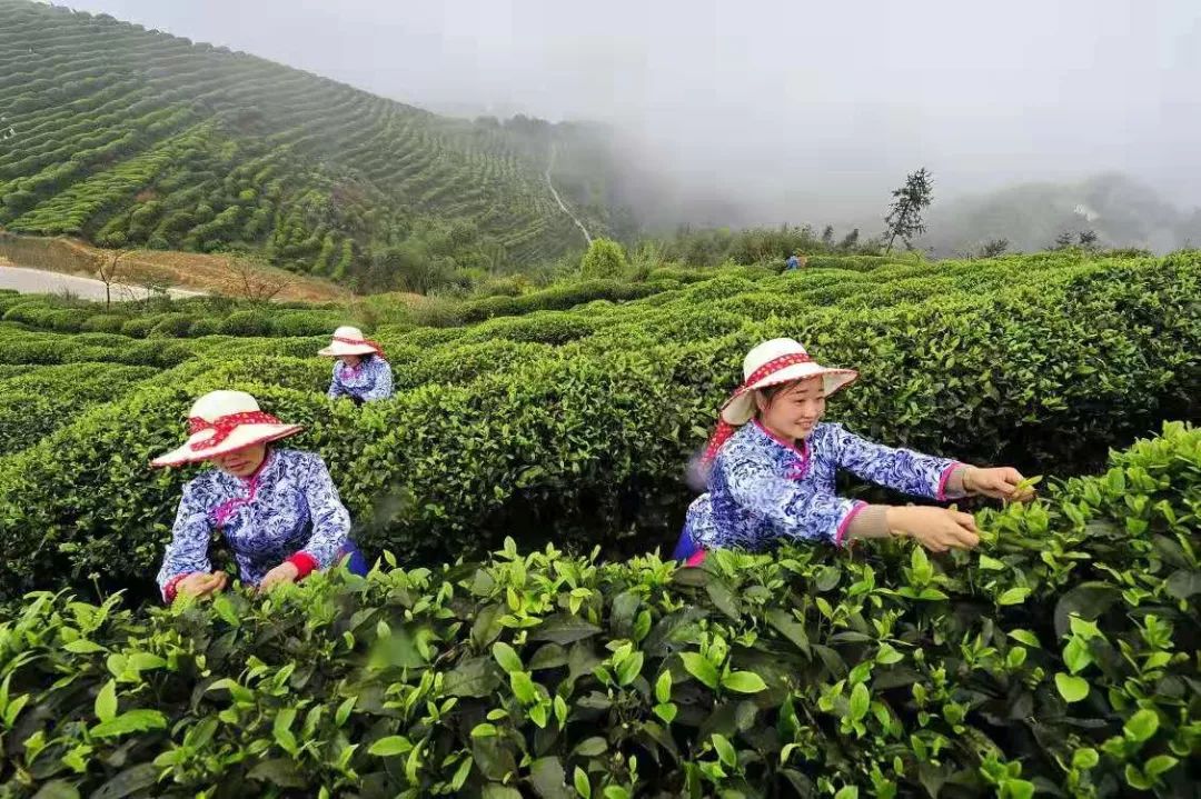江津还需要补硒吗(补硒一般需要补多久)-硒宝网