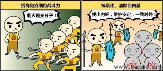 补硒对前列腺肿瘤(肿瘤前列腺补硒有效果吗)-硒宝网