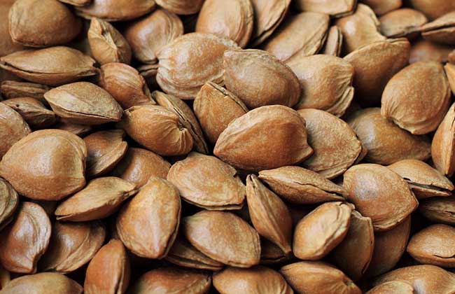 胸膜癌能不能补硒(胸膜癌能不能补硒)-硒宝网