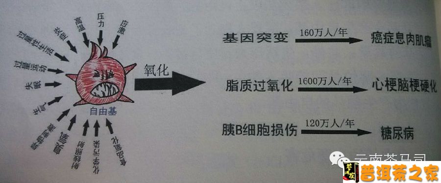 硒胶囊一天补多少(硒胶囊吃多久可以停一停)-硒宝网