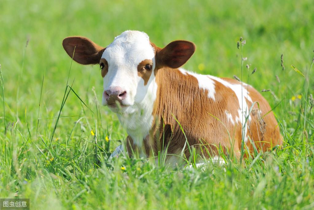 补硒口服液哪家好(补硒口服液什么时候吃)-硒宝网