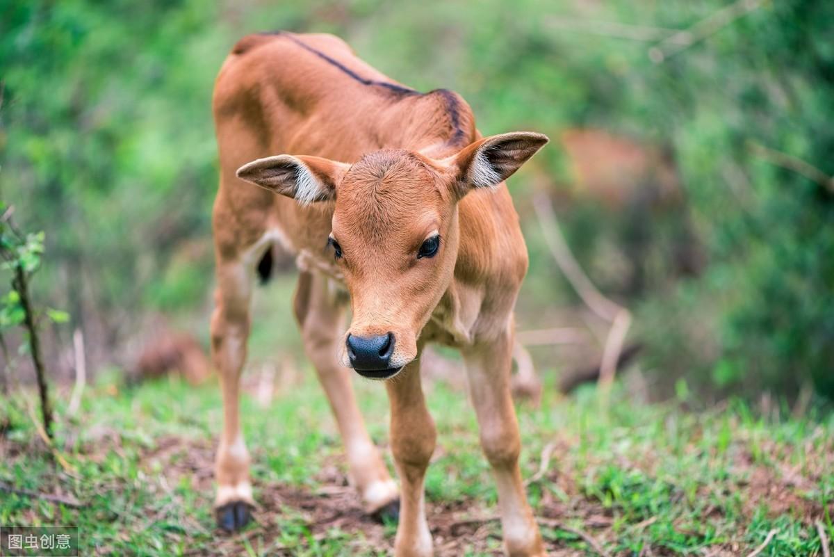 补硒口服液哪家好(补硒口服液什么时候吃)-硒宝网