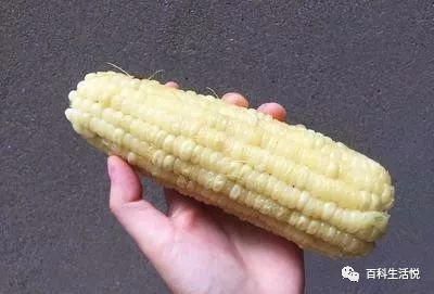 吃补硒药会减肥吗(硒减肥10斤)-硒宝网