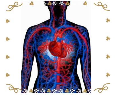 有哪些人不能补硒(补硒会致癌吗)-硒宝网