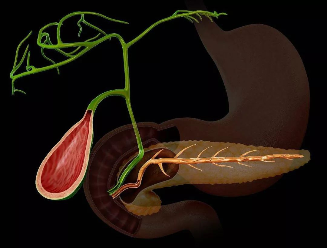 糖尿病需要补硒嘛(糖尿病人补硒吃多长时间)-硒宝网