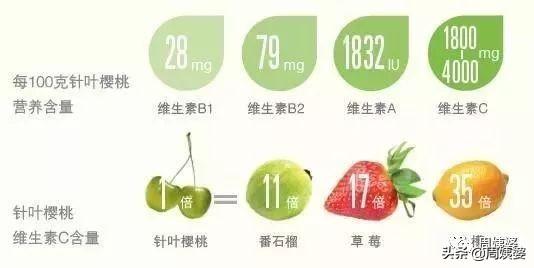 怀孕一天补多少硒（怀孕补一天硒多少合适）-硒宝网