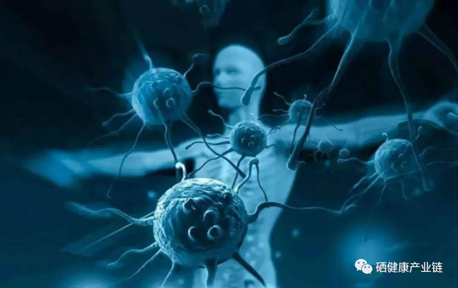 补硒会有依赖性吗（长期补硒会不会产生依赖性）-硒宝网