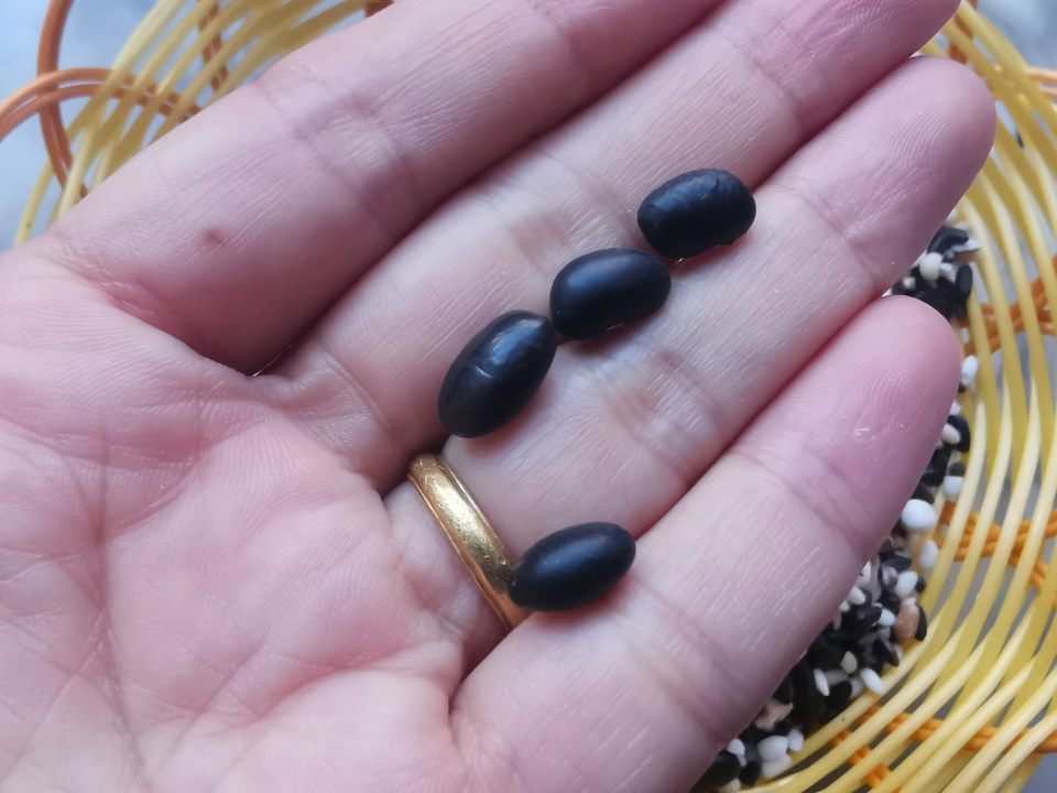 头发又细又黄补硒(补硒头发)-硒宝网