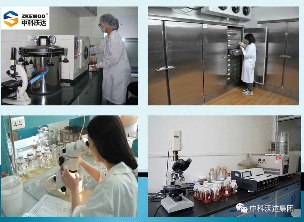 大羊补多少硒垂毒（大羊补多少硒垂毒）-硒宝网