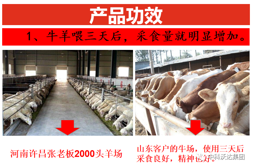 大羊补多少硒垂毒（大羊补多少硒垂毒）-硒宝网