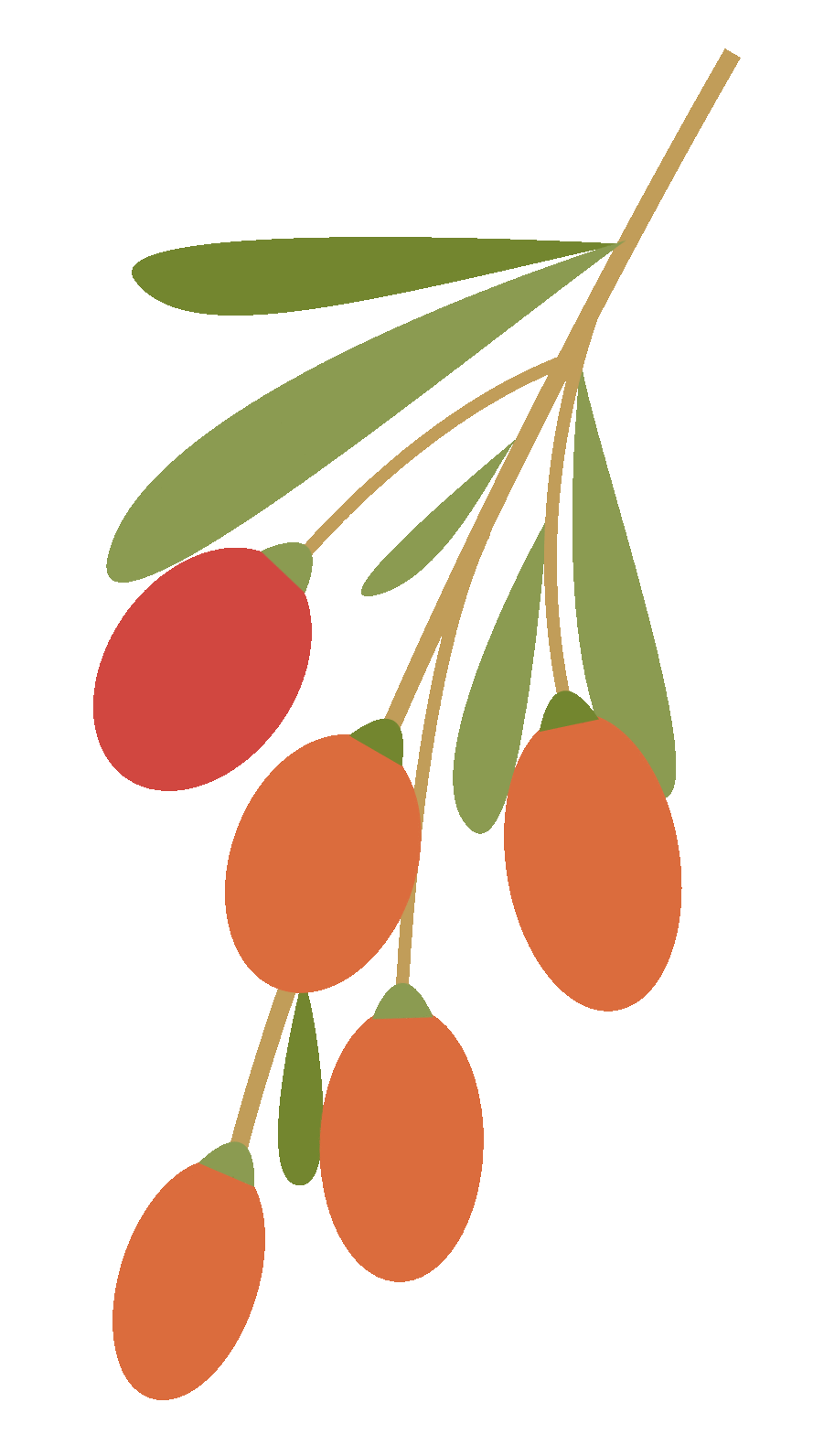 怎么样能快点补硒（补硒能治病吗）-硒宝网