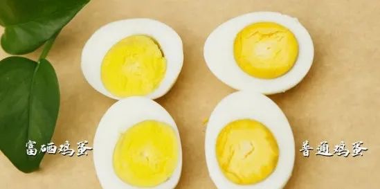 蛋鸡多长时间补硒(多长补时间硒蛋鸡最佳)-硒宝网