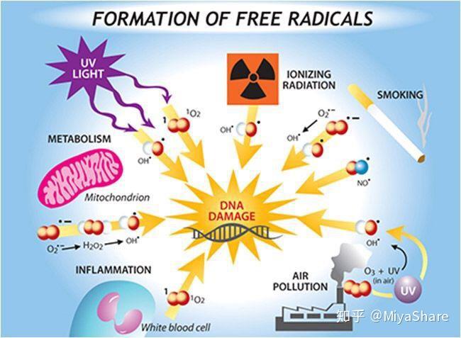 口腔溃疡能补硒吗(硒对口腔溃疡有没有好处)-硒宝网