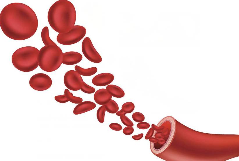 补硒增强免疫力吗（免疫力补增强硒的药物）-硒宝网