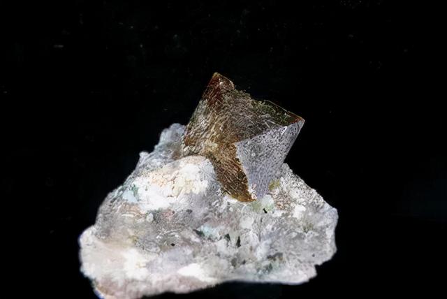 口腔溃疡能补硒吗(口腔能补溃疡硒片吗)-硒宝网