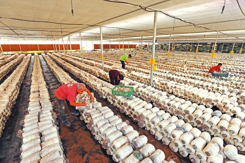 补硒保健品的利润（保健补利润品硒含量多少）-硒宝网