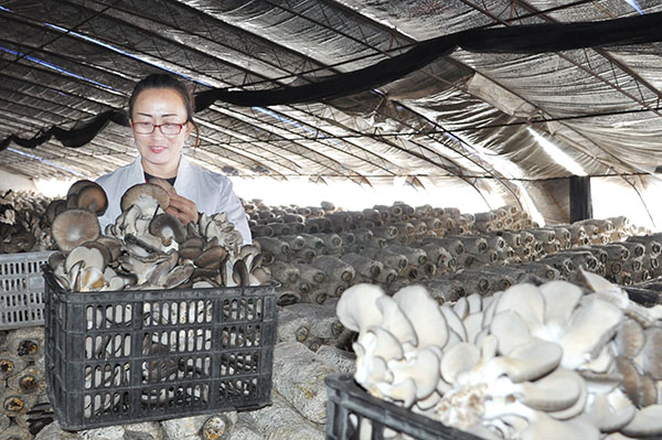 补硒保健品的利润（保健补利润品硒含量多少）-硒宝网