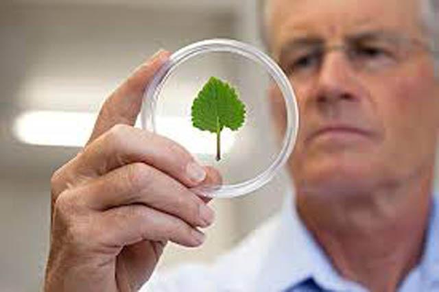 哺乳期补硒安全吗(哺乳补期安全硒含量高吗)-硒宝网