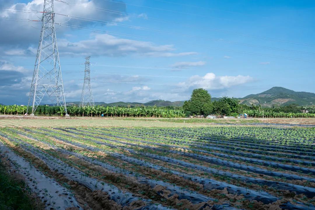 海南省需要补硒吗(哪些品牌的补硒是有机硒)-硒宝网