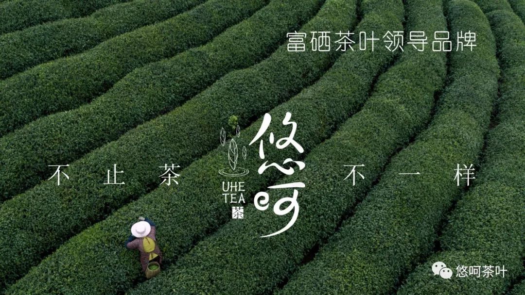 长期补硒会伤肝吗(补硒对肝病有效吗)-硒宝网