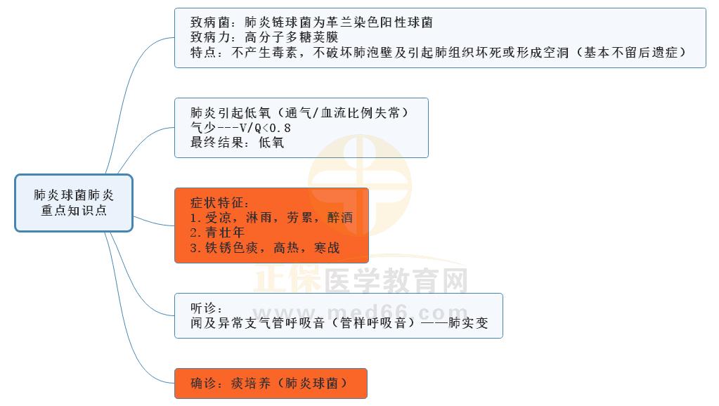 补硒能治支原体吗(能治补支原体硒的中药)-硒宝网