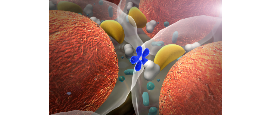 糖尿病补硒的效果（硒对糖尿病的作用和补硒的好处）-硒宝网
