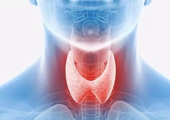 甲亢能补硒和镁吗(镁能补甲亢硒吗)-硒宝网