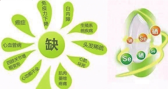 老年人补硒推荐量(老年人补硒买什么品牌好)-硒宝网