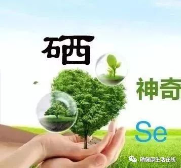 长期补硒会伤肝吗(补硒对肝脏的好处吗)-硒宝网