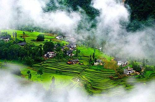 补硒有哪些营养品（补硒的营养品）-硒宝网