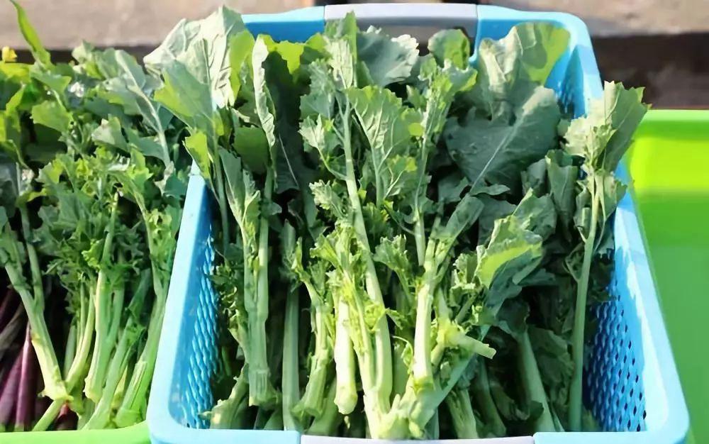 中科院的补硒产品（中科院生产的硒）-硒宝网