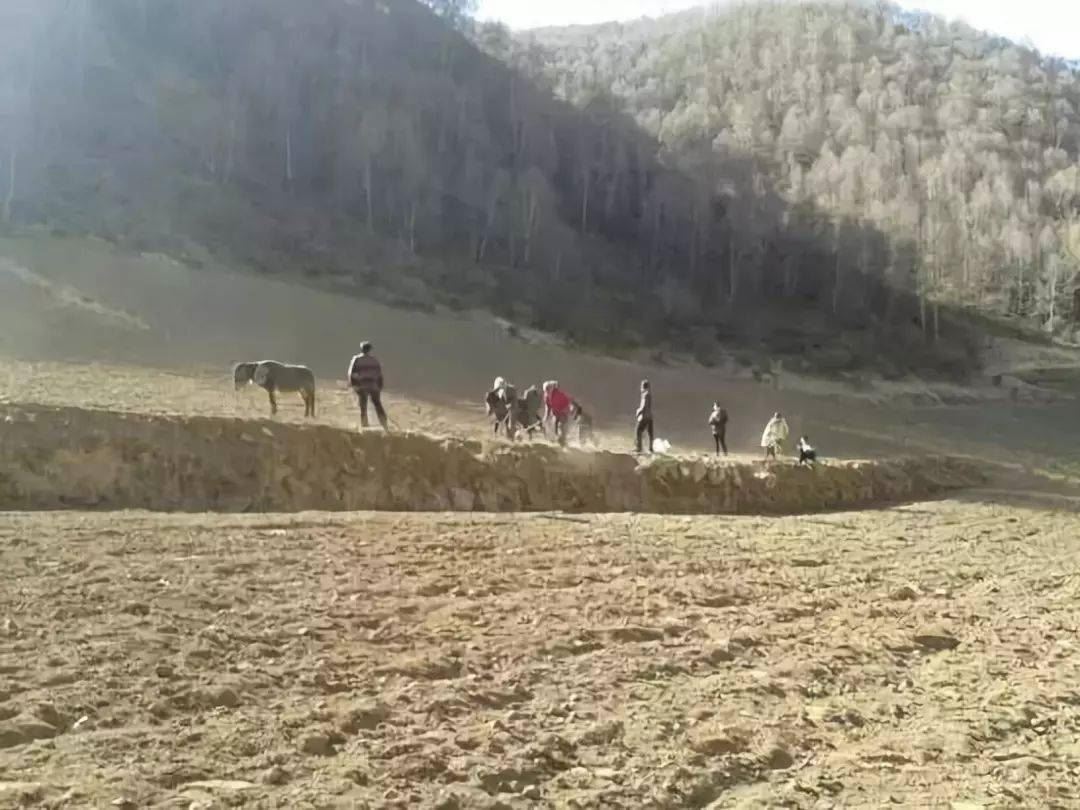 补硒将体内化成水(补硒的水)-硒宝网