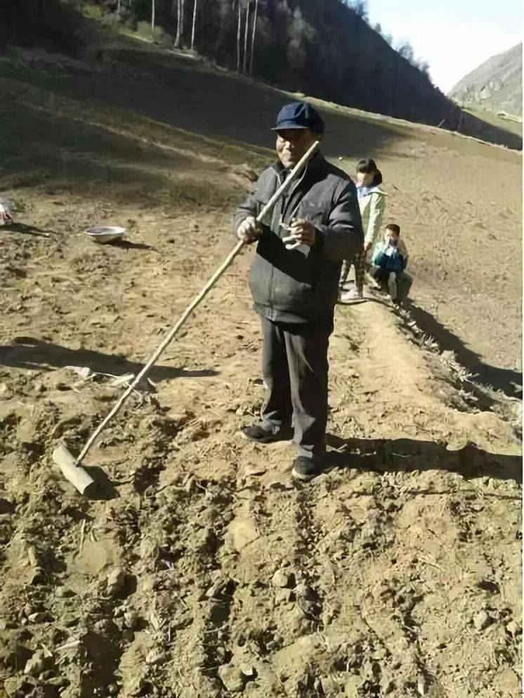 补硒将体内化成水(补硒的水)-硒宝网