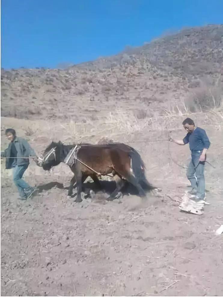 补硒将体内化成水(补硒的水)-硒宝网