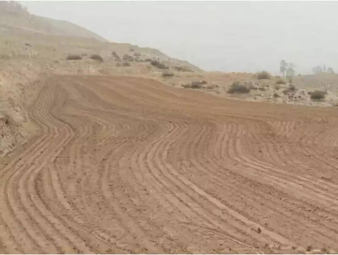 补硒将体内化成水(补硒的水)-硒宝网