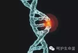 哺乳期能否喝补硒(哺乳期补硒可以喂奶吗)-硒宝网