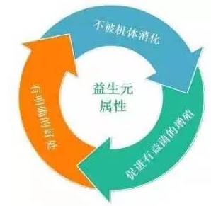 哺乳期能否喝补硒(哺乳期可以吃补硒片吗)-硒宝网