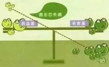 哺乳期能否喝补硒(哺乳期可以吃补硒片吗)-硒宝网