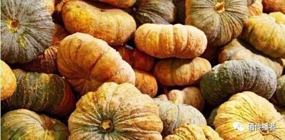 补硒降血压不明显（补硒可以降血压吗）-硒宝网