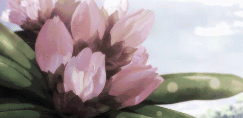 补硒是太阳晒背吗(太阳晒背补肾)-硒宝网