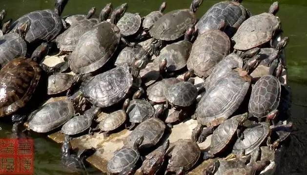 补硒是太阳晒背吗(太阳晒背补肾)-硒宝网