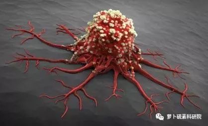 化疗补硒不掉头发(化疗病人补硒有效果吗)-硒宝网